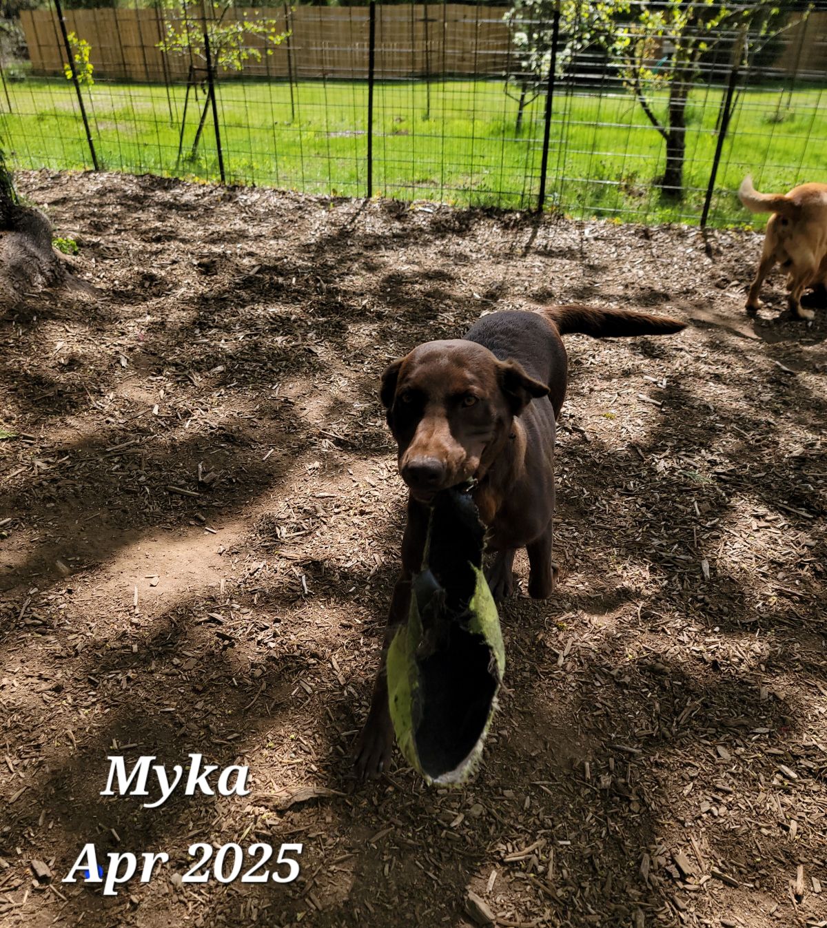 Apr 2025 - Myka.jpg