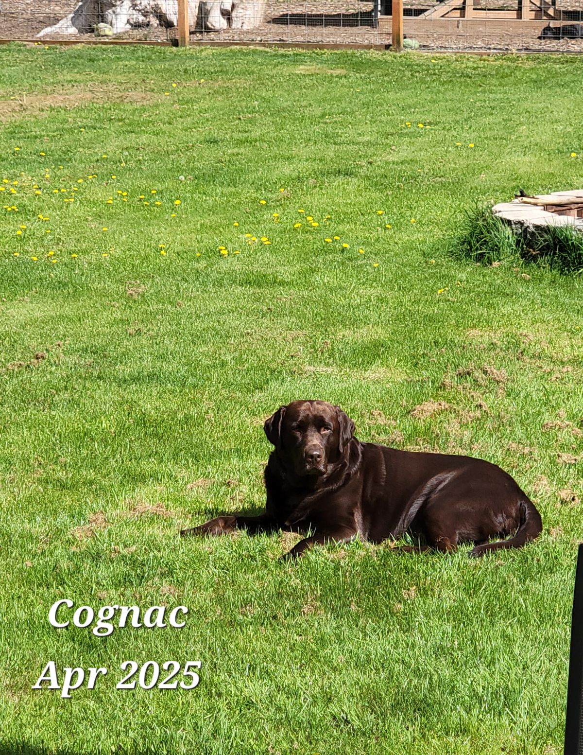 Cognac - Apr 2025.jpg