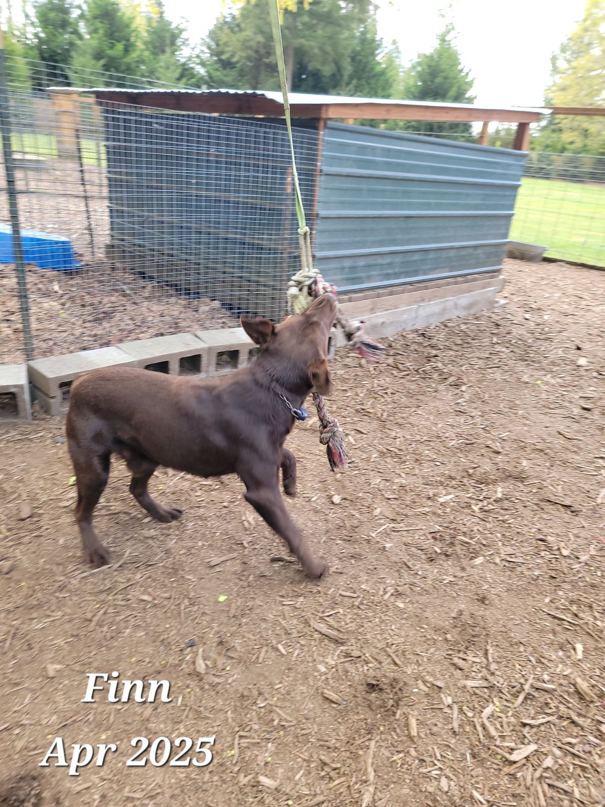 Finn - Apr 2025  1.jpg