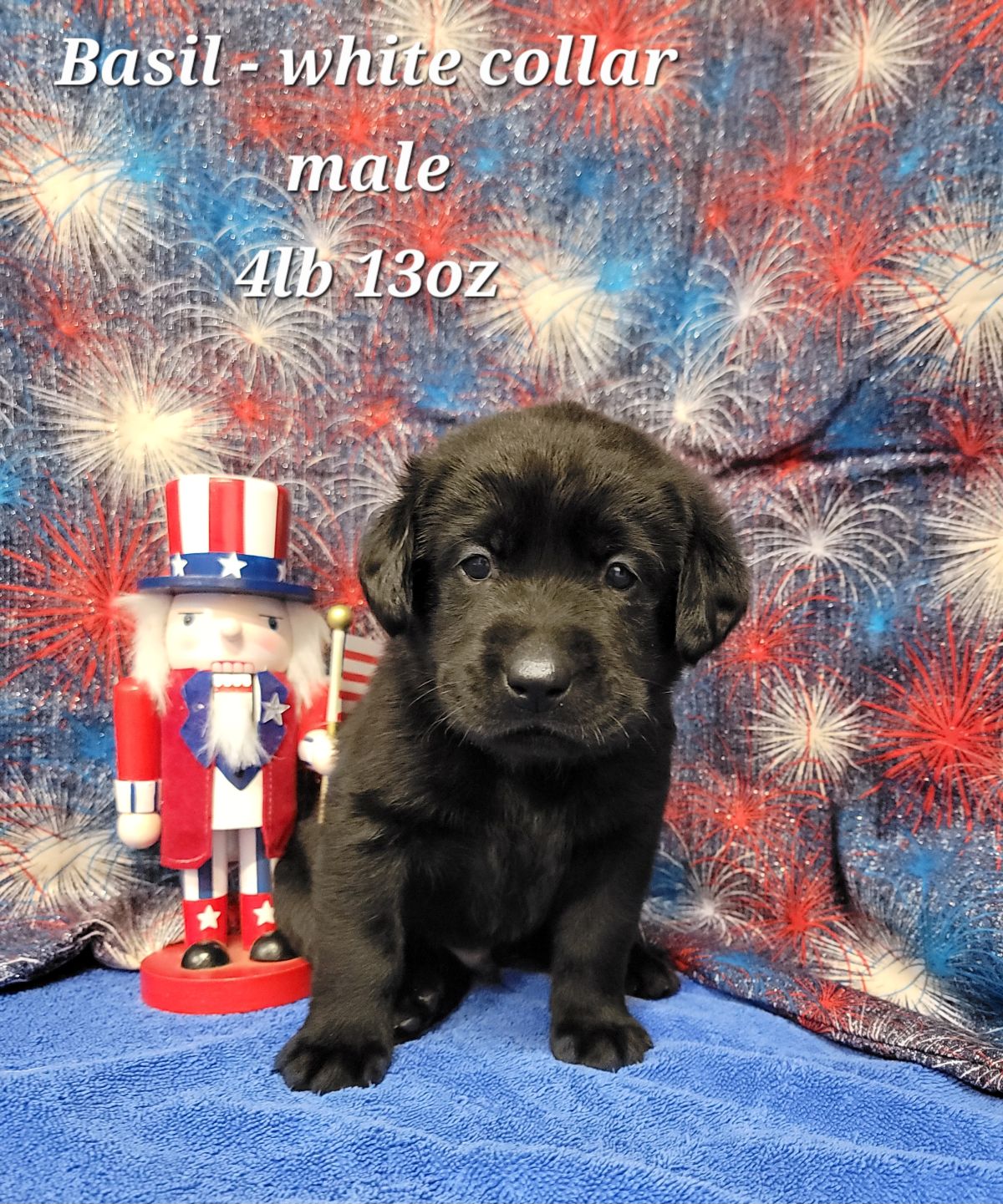 Storm & Maverick #67  white 4wks.jpg