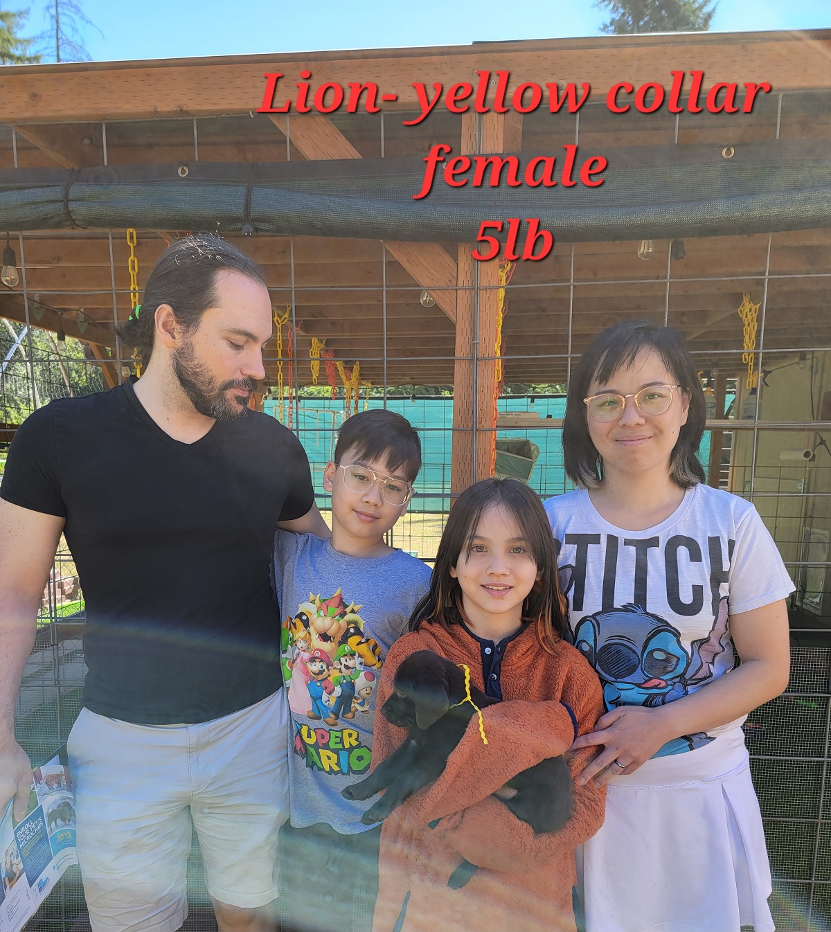 Helium & Copper #54 yellow 6wks.jpg