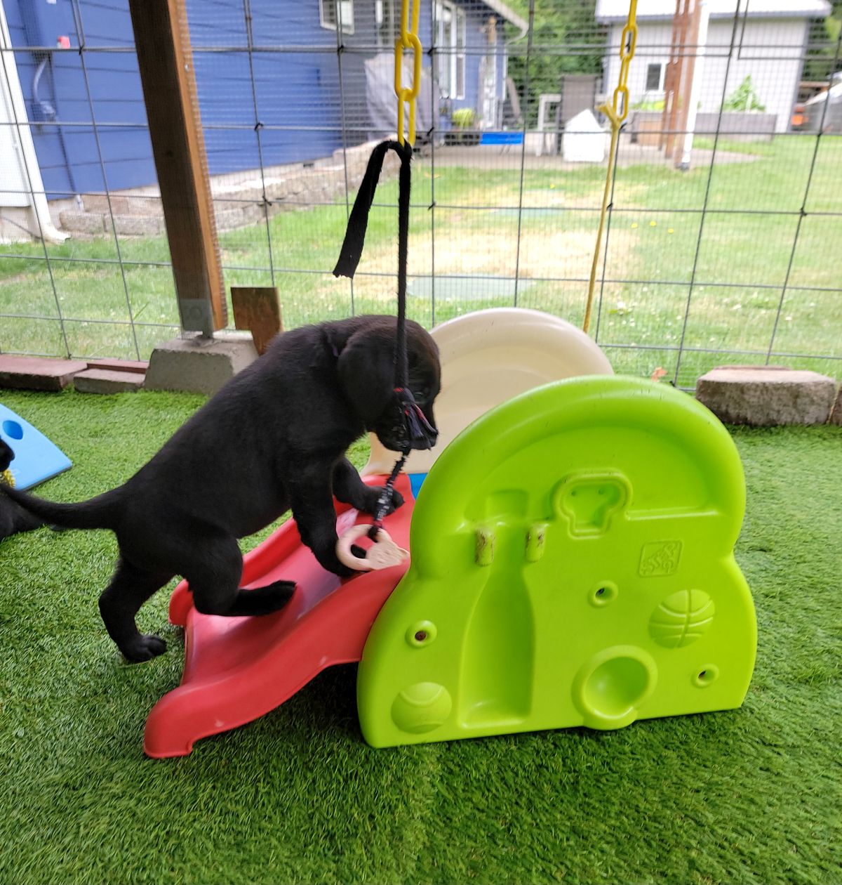 Storm & Maverick #67   7.jpg