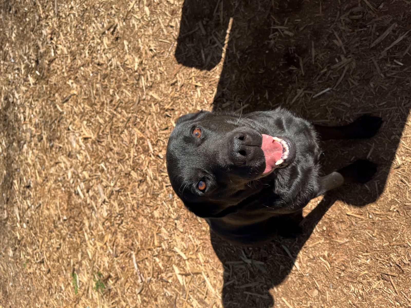 Emmy  April 2026.jpg