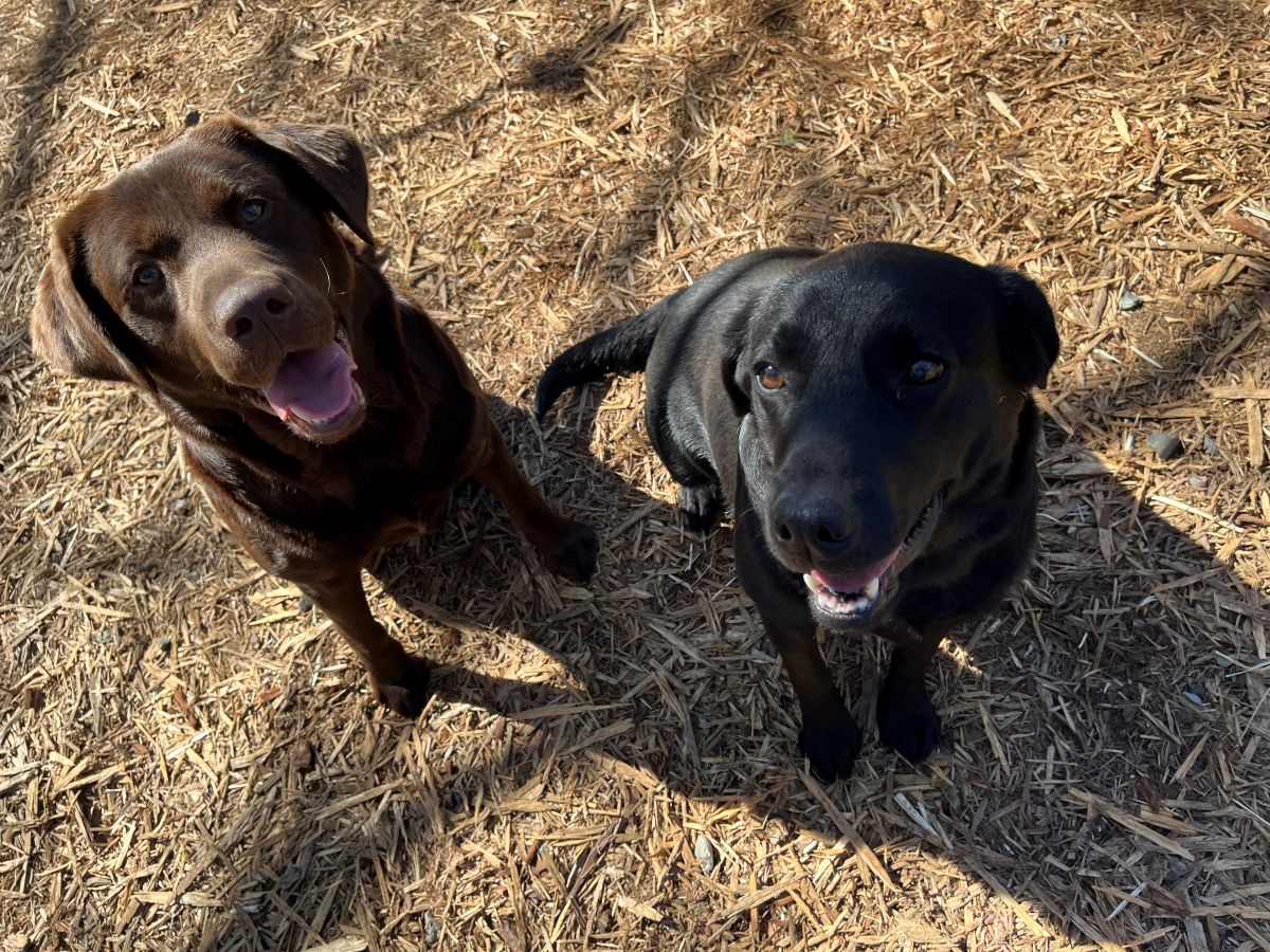 Emmy & Finn april 2026.jpg