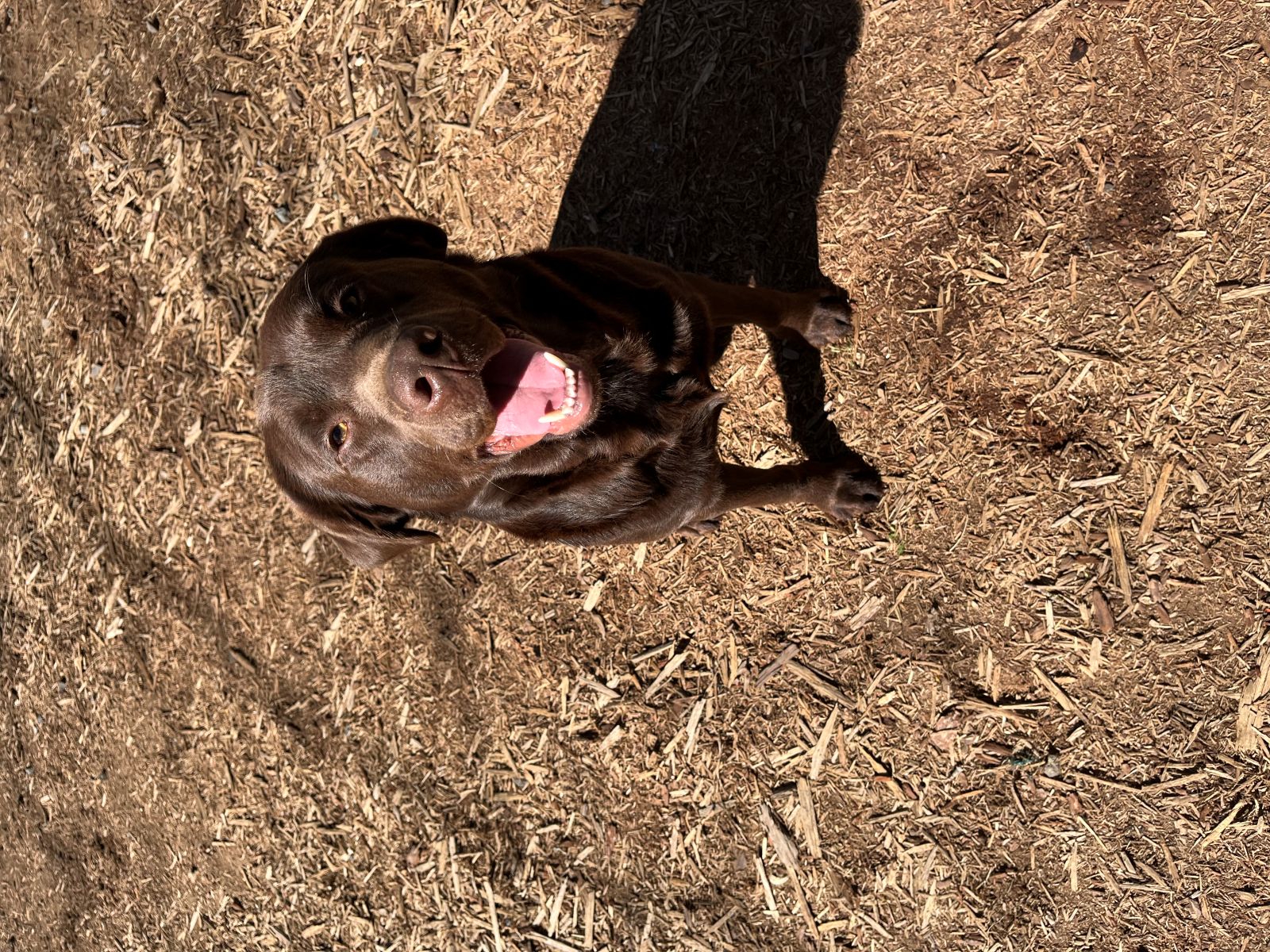 Finn  April 2026  1.jpg