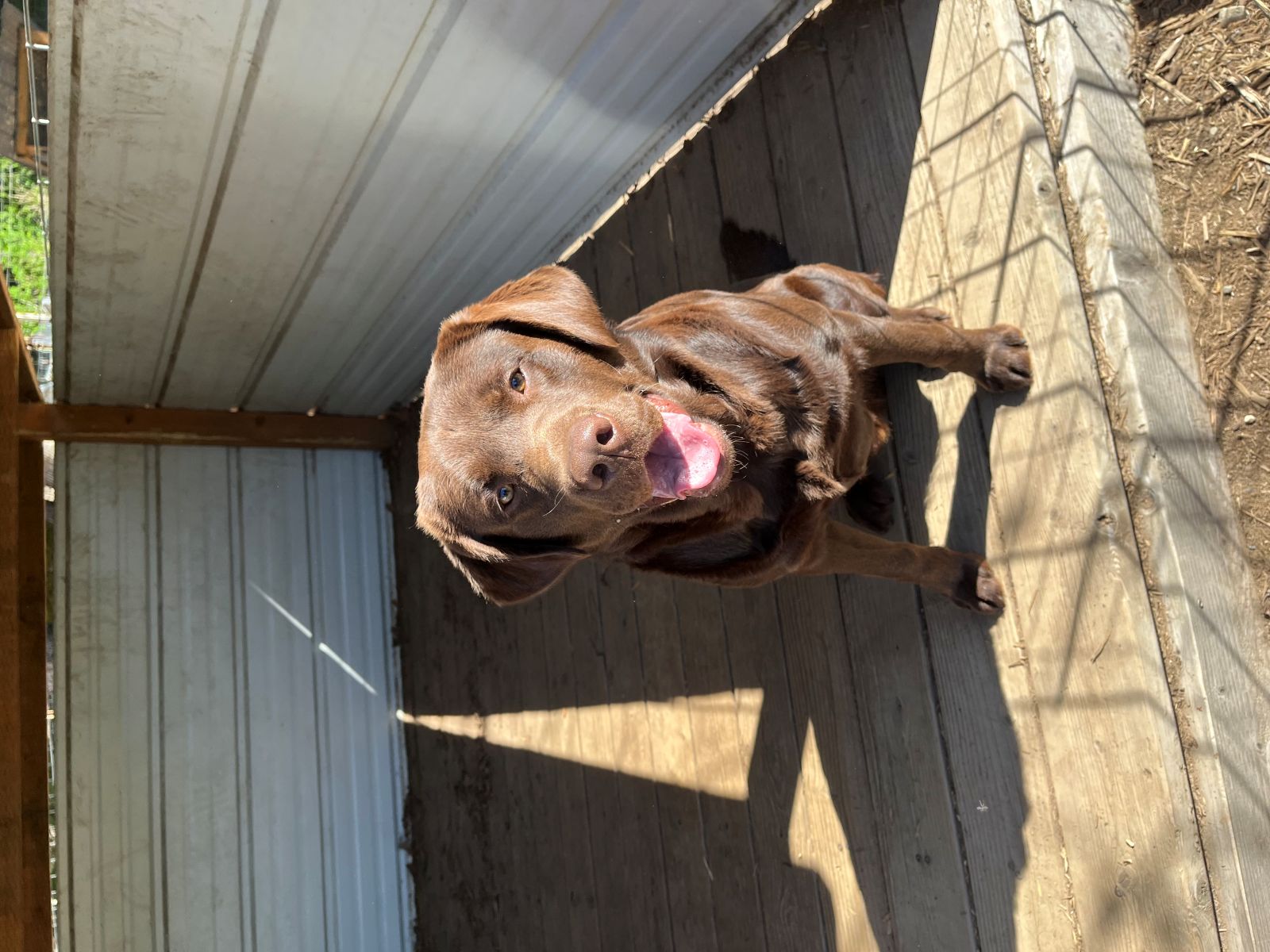 Finn  April 2026  3.jpg