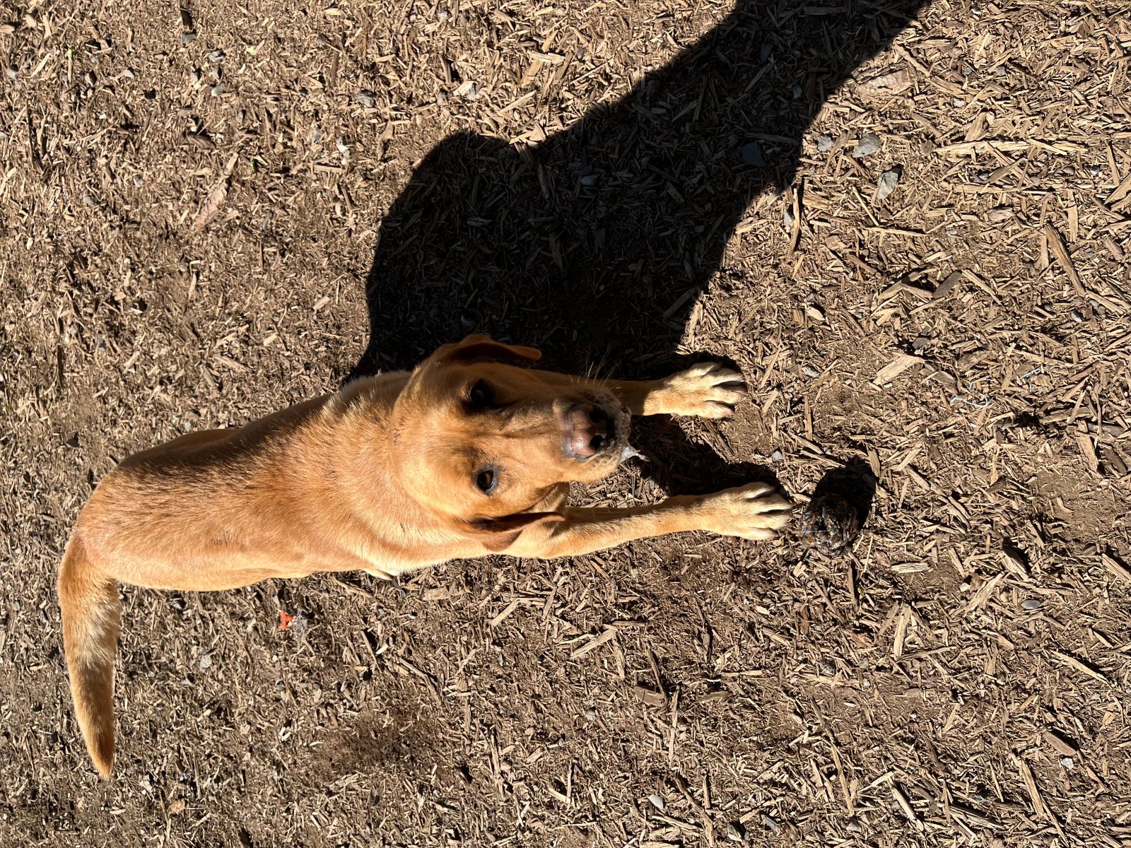 Maverick  April 2026  1.jpg