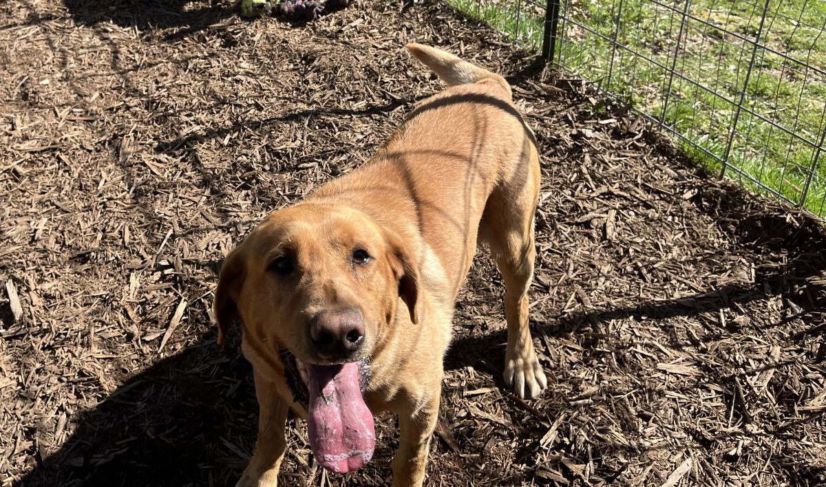 Maverick  April 2026.jpg