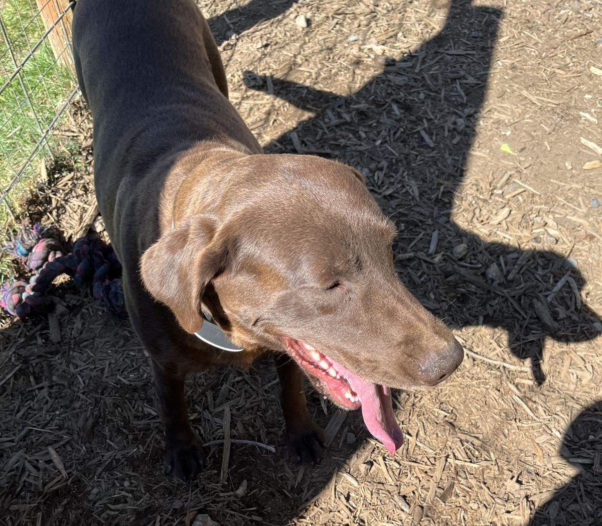 Myka  April 2026  1.jpg