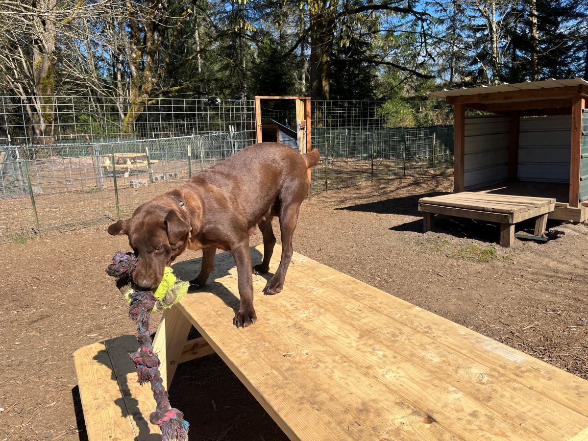 Myka  April 2026.jpg